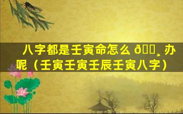 八字都是壬寅命怎么 🌸 办呢（壬寅壬寅壬辰壬寅八字）
